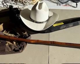 Brazos walking stick. Hat. Bike rack. https://modestlambestatesales.hibid.com/