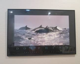 Framed Art Print "Dolphins" By Photographer Bob Talbot