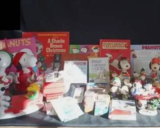 Snoopy Tea Pot And More Collectables
