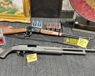 Mossberg 500 12 Gauge Shotgun and Henry .17cal Rifle Orlando Estate Auction