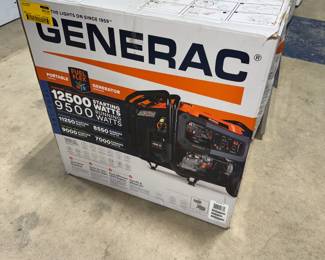 Generac Generator Orlando Estate Auction