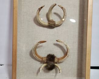 BOAR TUSKS CARVED