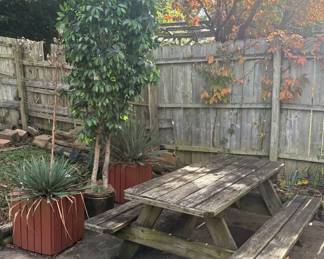 730 Backyard Picnic