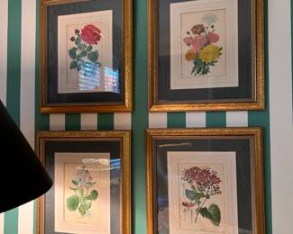 Many framed botanical prints