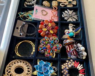 brooches and earrings