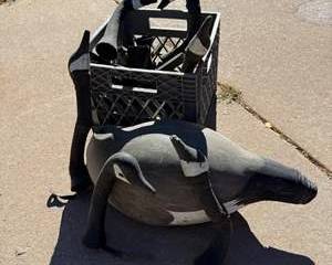 Vintage G&H Canada Goose Decoy Set with Metal Stakes and Black Crate