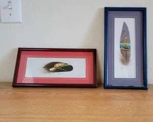 Framed Painted Feather Artwork Featuring Frog and Scenic Landscape