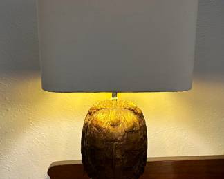 These fantastic unique turtle shell pair of lamps -pictures don’t do justice