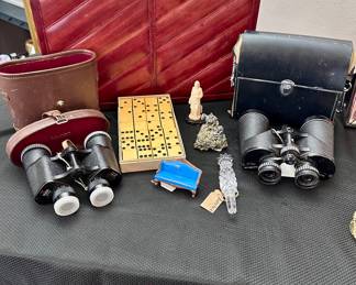 Eelskin Briefcase - Binoculars 