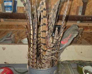 Pheasant feathers