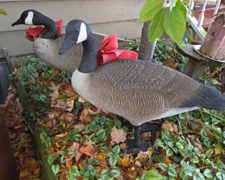 Decoys