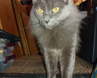Just in time for Halloween, Esther is ready!