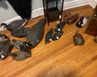 Collection of decoys