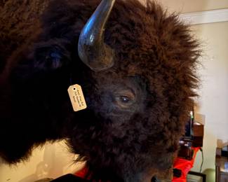 Who doesn't need a gigantic bison head?