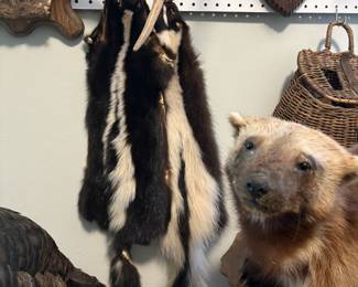 Skunk pelts with wolverine mount