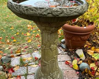 Bird Bath
