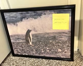 Penguin Antarctica Framed Print