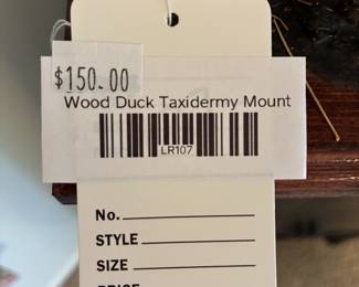 Wood Duck Taxidermy Mount