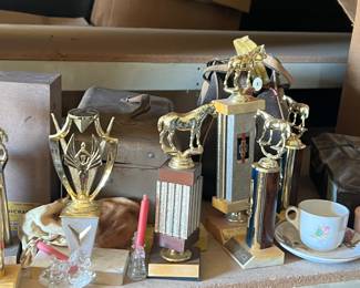 Collection of tiny gold horses on marble pedestals… convince your friends you won something once.