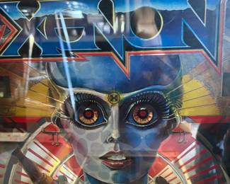 Xenon pinball machine! This is a very desirable machine… I will know more about it ‘s operability before too long and I will keep you guys posted!