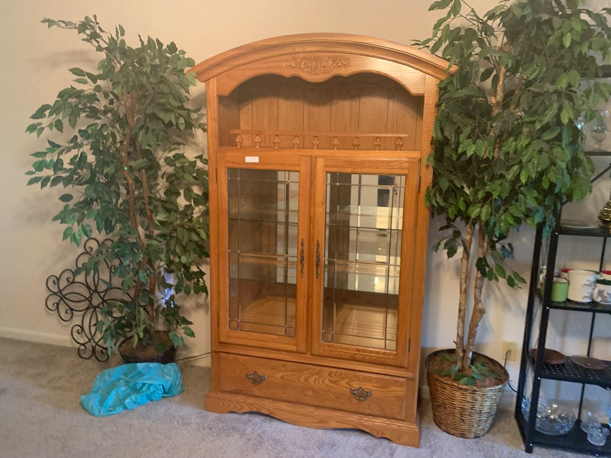 Vintage cabinet and fake plants