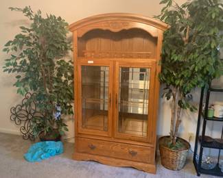 Vintage cabinet and fake plants