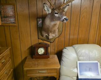 Gorgeous Buck deer mount!