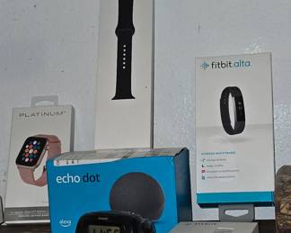 Echo Dot - Fitbit - Platinum Watch