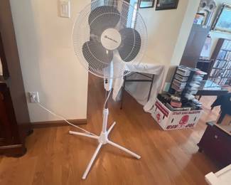 Comfort Zone Pedestal Fan