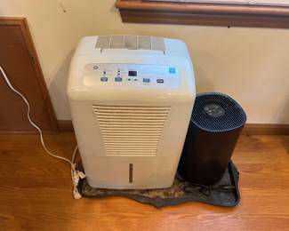 GE Dehumidifier and Air Purifier