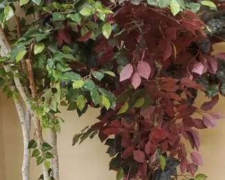 Trio Of Silk Floral Trees, Beech, Ficus, Maroon Leaves