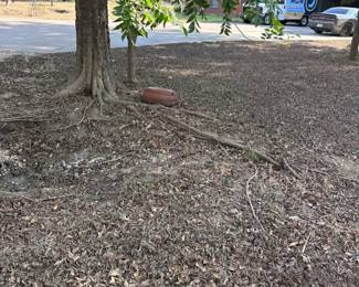 263Oct 22 2025 09 41pm74yV