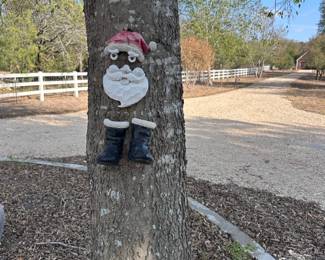 258Oct 22 2025 09 41pmtDQr