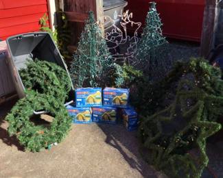 Christmas Lights, Trees And More