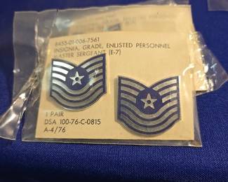 Airforce Lapel, Hat Pins