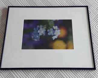 Framed photograph of violets, note the metal frame is deep purple
