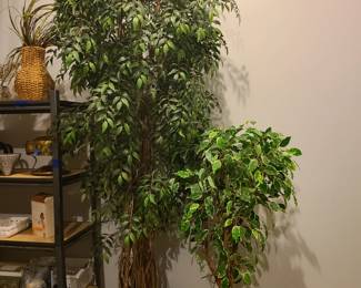 Large faux trees