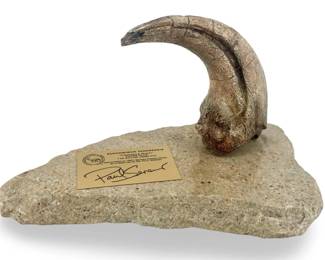 Signed Project Exploration Suchomimus Claw Fossil