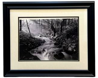 Woody Walters âSummerâs Day" Photograph