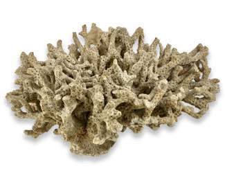 Coral Fossil Centerpiece