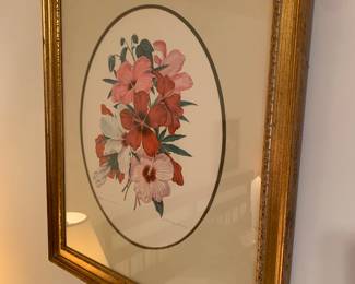 hibiscus