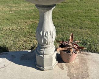 Cute birdbath