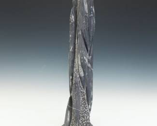 Prehistoric Fossilised Specimen, Early Ordovician Epoch, 370 Mya