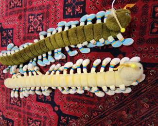 Lots and lots of legs, caterpillars