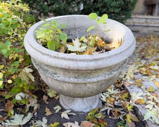 Cement Planter