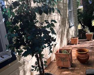 Plants and outdoor pots