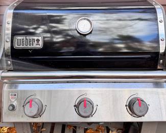 Weber GS grill