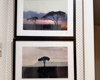 Many wilderness photographs