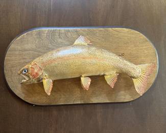Golden trout on board