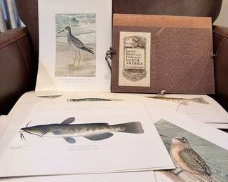 Birds & Fishes of N. America set in a folder